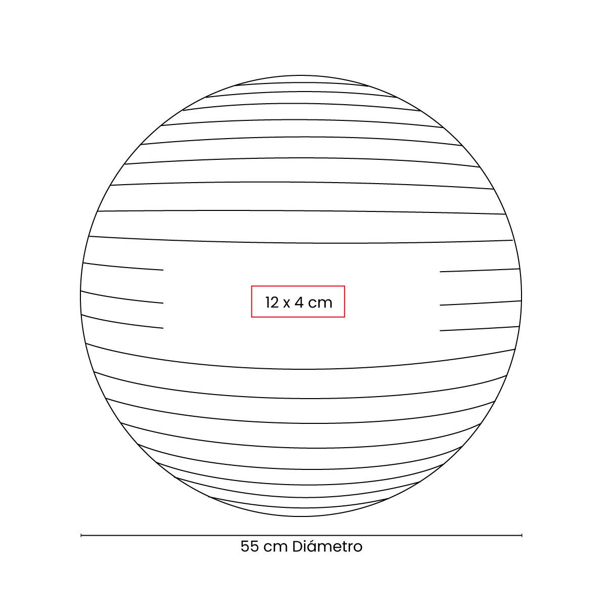 PELOTA DE PILATES WELLNESS
